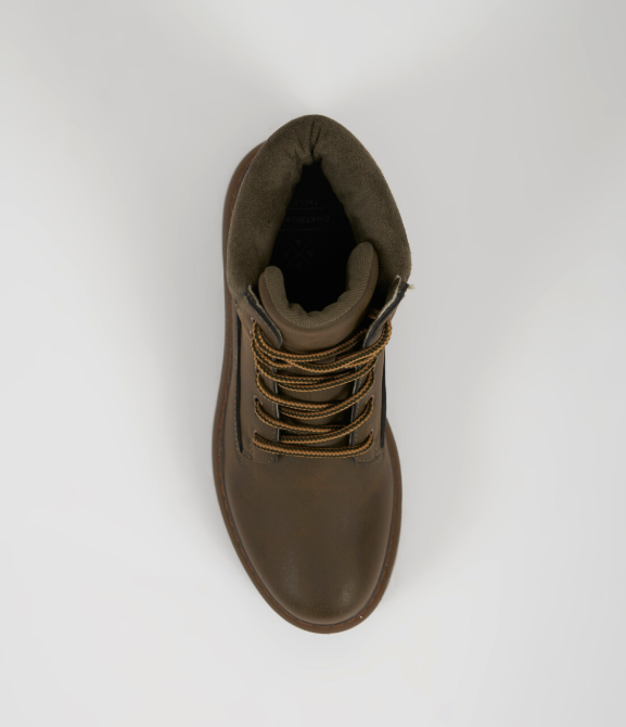 Borcego - Oliva