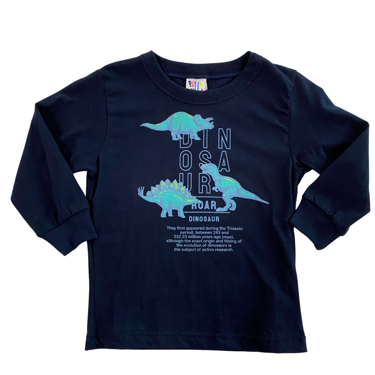 Remera Manga Larga